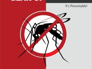 Dengue Awareness